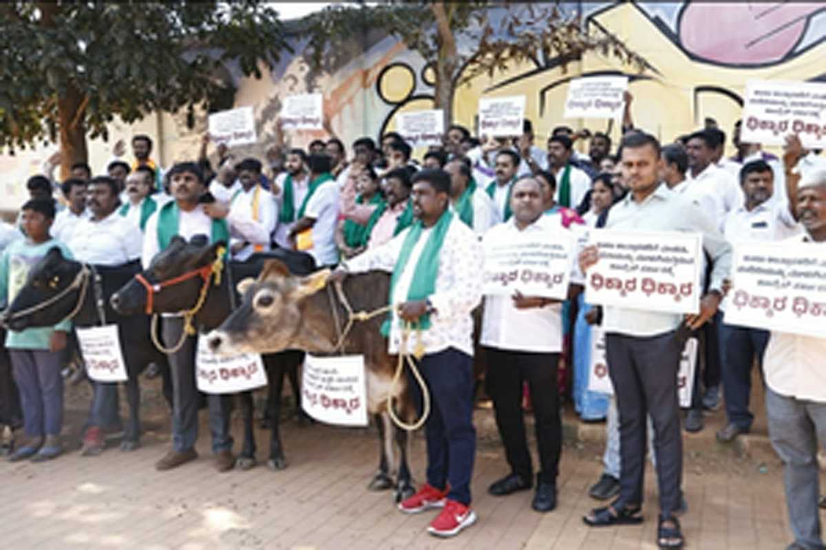 कर्नाटक में किसानों की आत्महत्या पर सीएम सिद्दारमैया चुप हैं : भाजपा